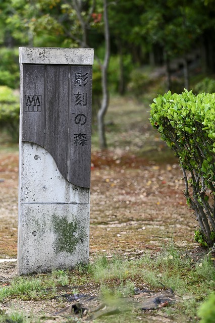 a0242438_19373590.jpg
