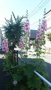 b0080342_13575977.jpg