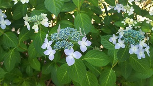 b0080342_14024026.jpg