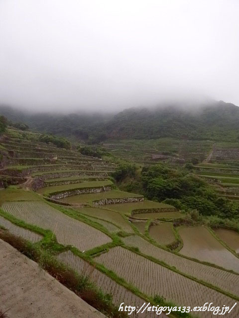 d0350542_17401815.jpg