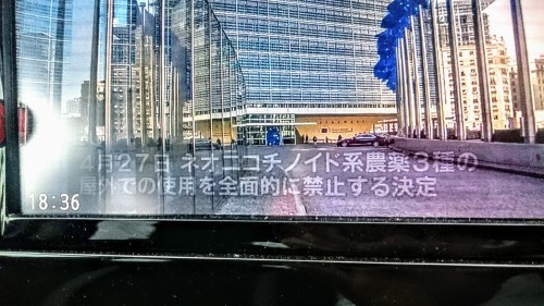 a0181151_20541036.jpg