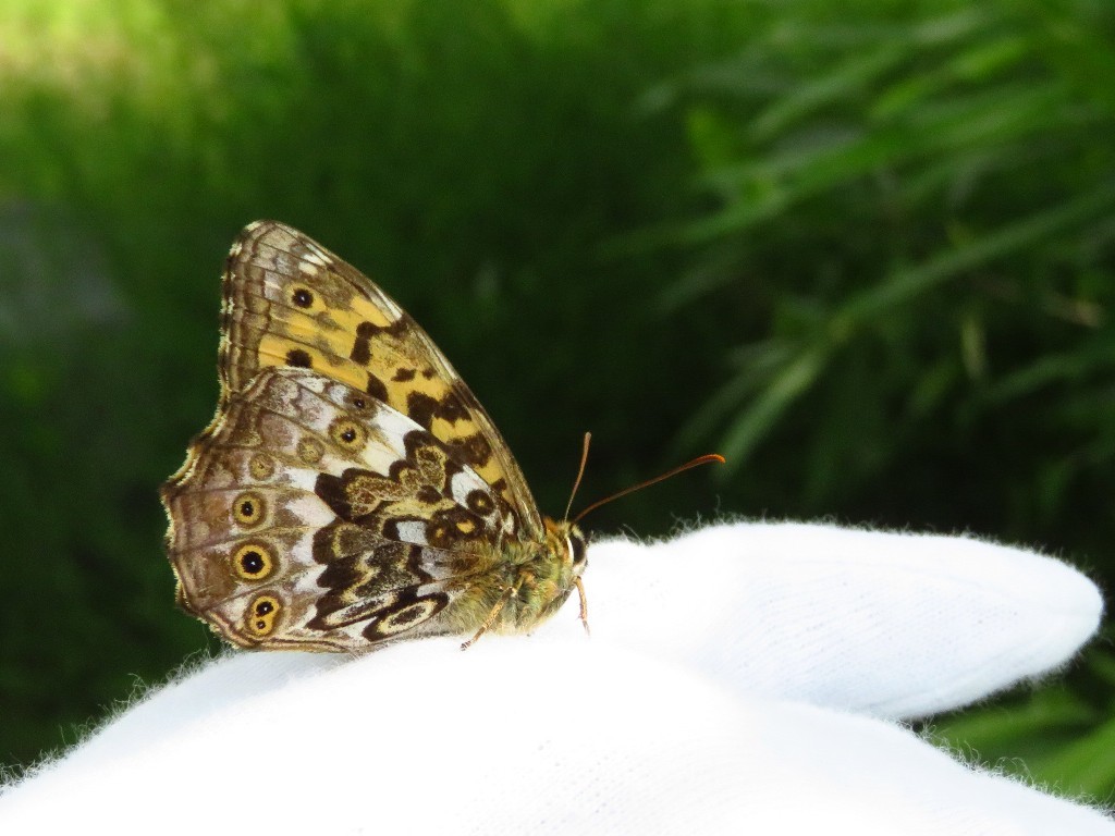 a0018655_09203836.jpg