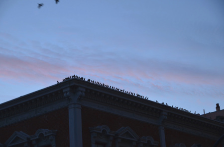 カナダ、VICTORIA （ヴィクトリア）でPUB巡りをしたい！：ルビープリンセスアラスカクルーズ_f0054556_23450151.jpg