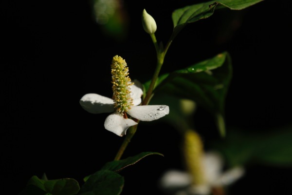 a0248459_14095795.jpg