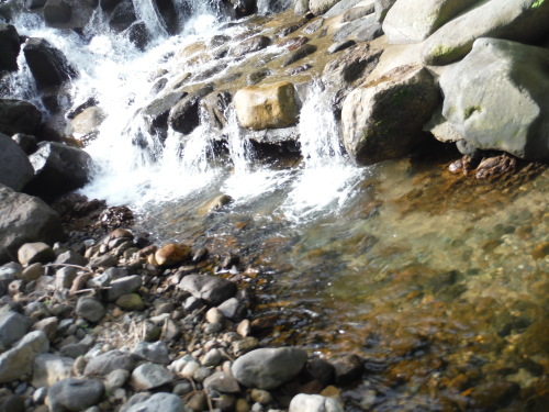 d0249266_20073368.jpg