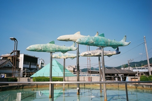 魚夢_c0195272_18503922.jpeg