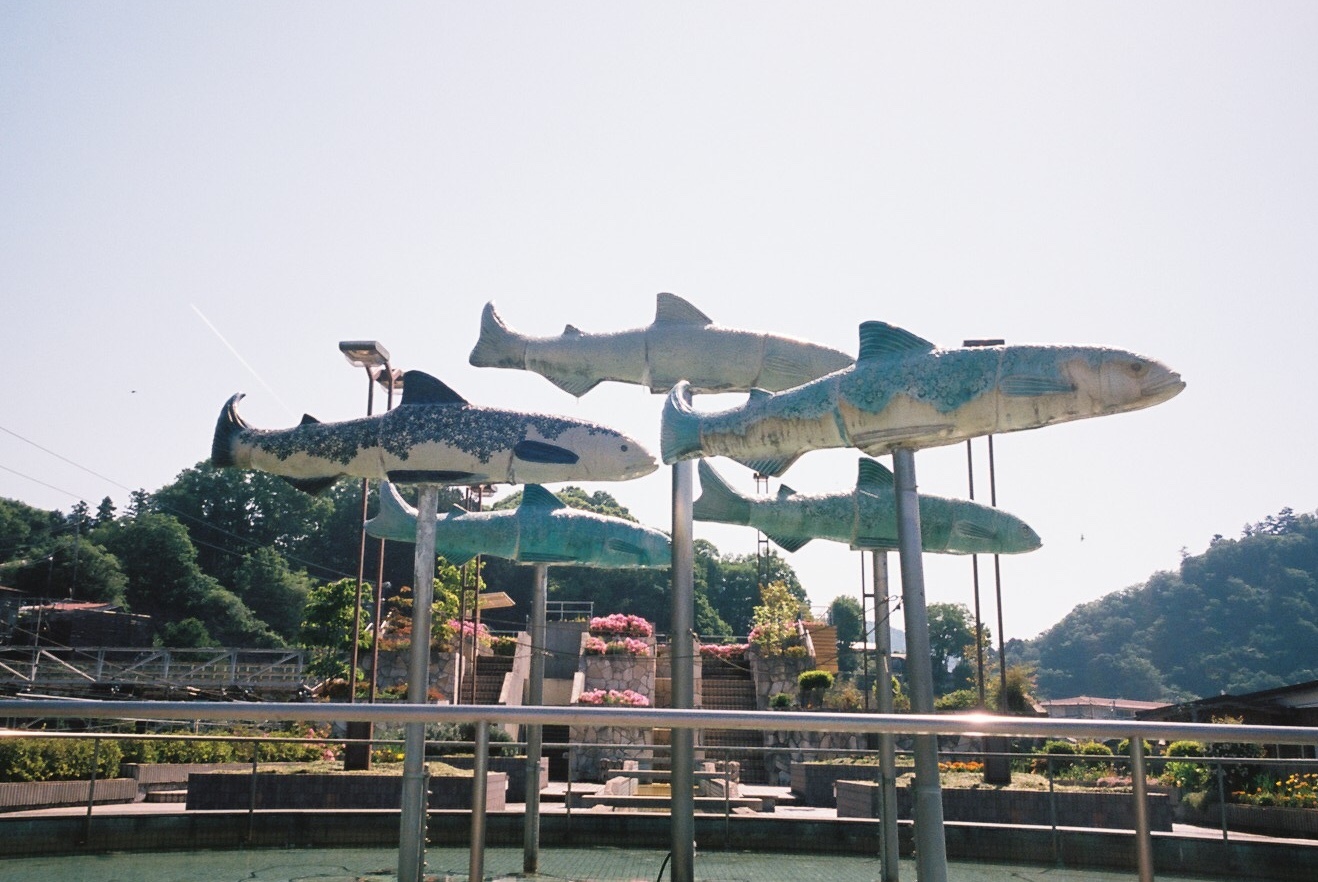 魚夢_c0195272_18512681.jpeg