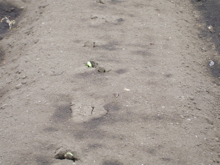 d0225575_10554373.jpg