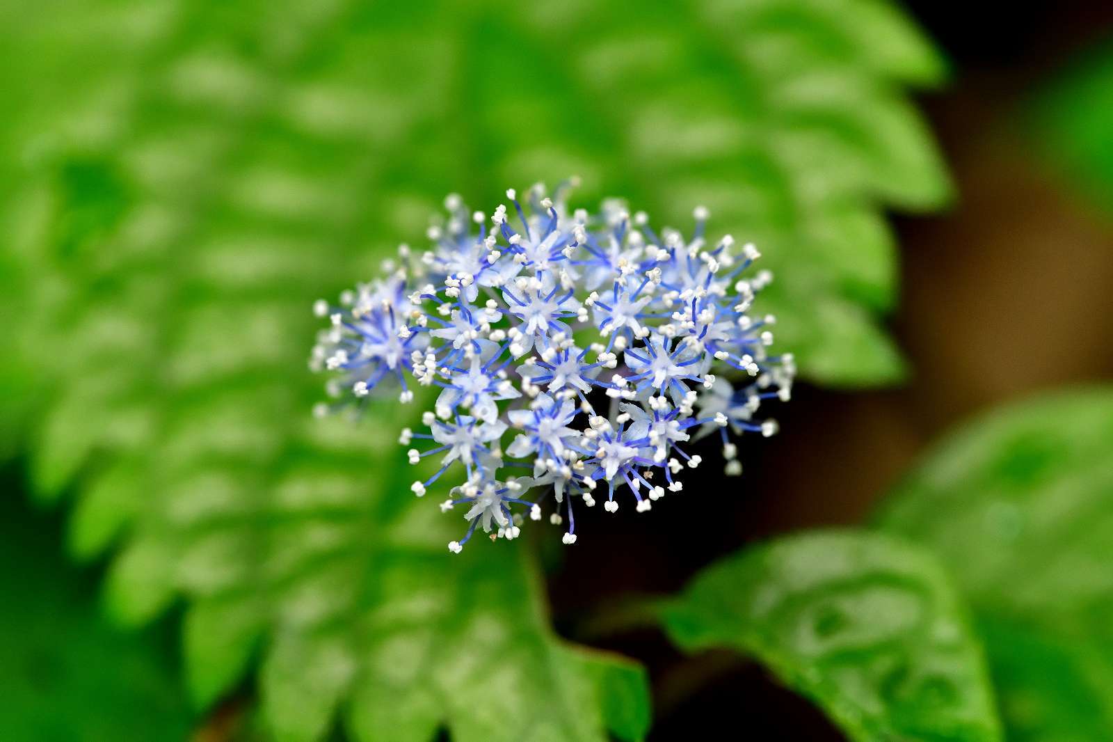 d0328977_20132719.jpg