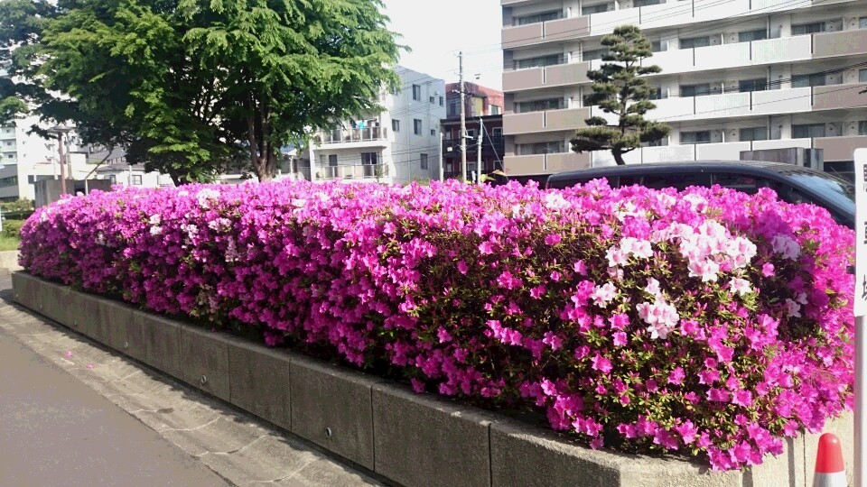c0172180_09523414.jpg