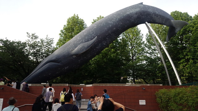 b0116883_14595121.jpg