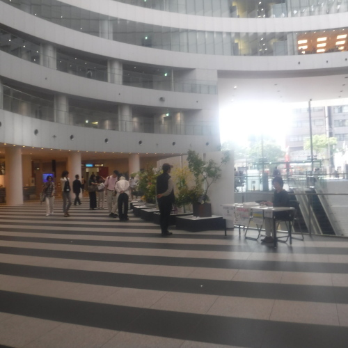 d0195183_20315633.jpeg