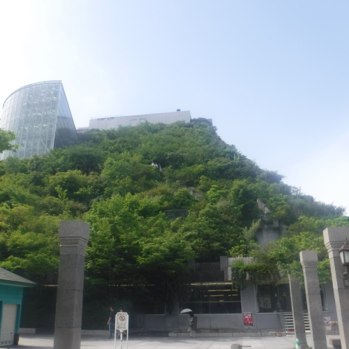 d0195183_20330740.jpeg