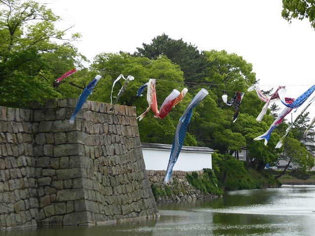 丸亀は日本一高い石垣のお城と讃岐うどんじゃ～♪　香川ノープランひとり旅♪_b0287088_16090371.jpg