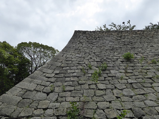 b0287088_16105824.jpg