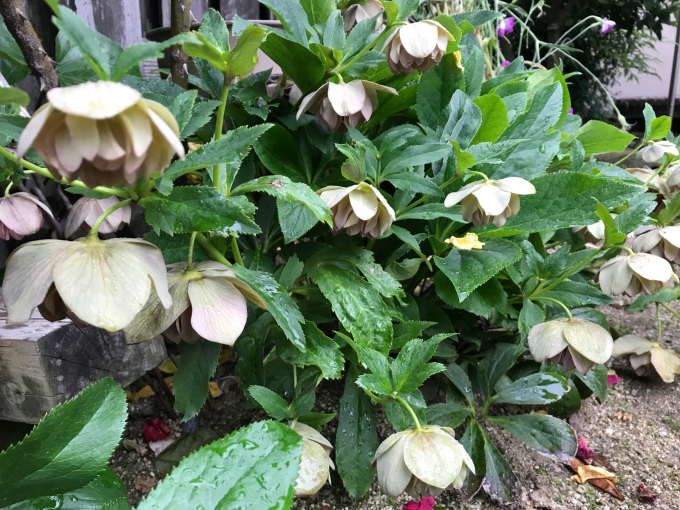 c0139090_00374641.jpg