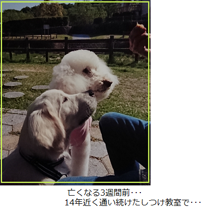 d0282395_22074995.png
