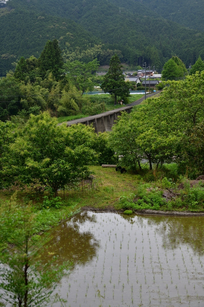 d0288500_19523592.jpg