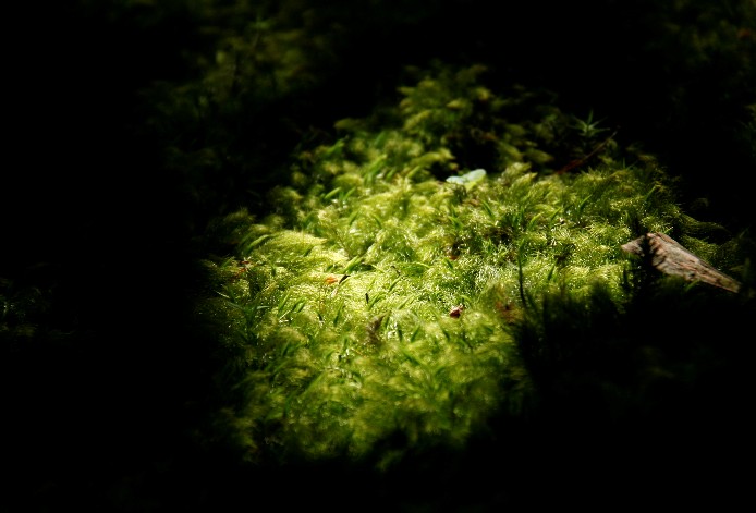 d0140806_641566.jpg