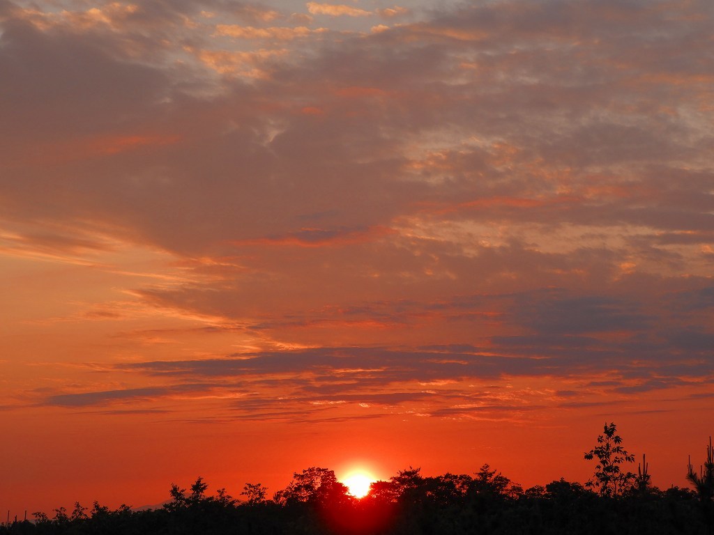 夕陽2018.05.21_e0372207_10020855.jpg