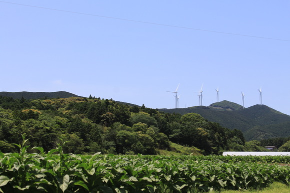 d0237309_21303271.jpg