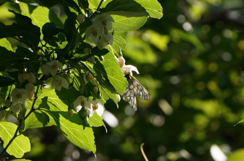 d0359010_00065947.jpg