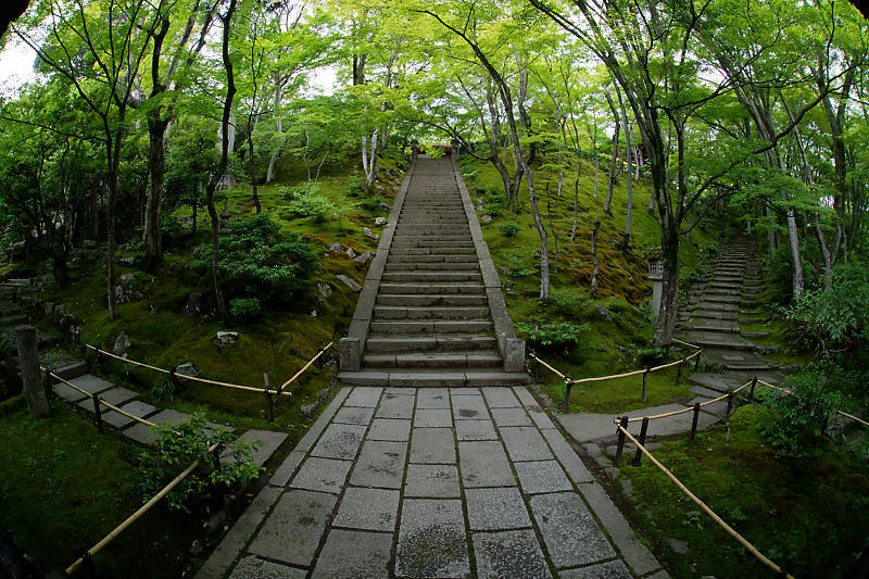f0032011_20223857.jpg