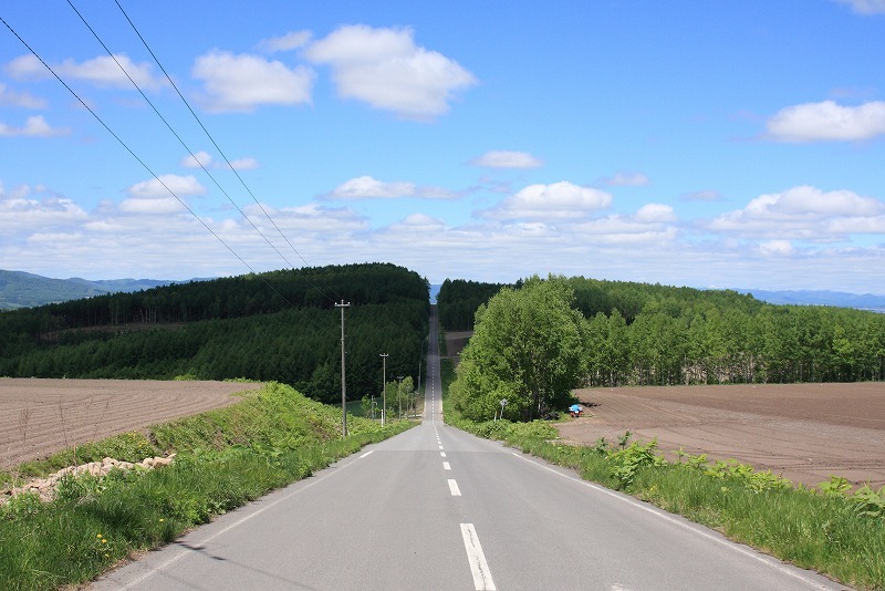f0139911_19504781.jpg