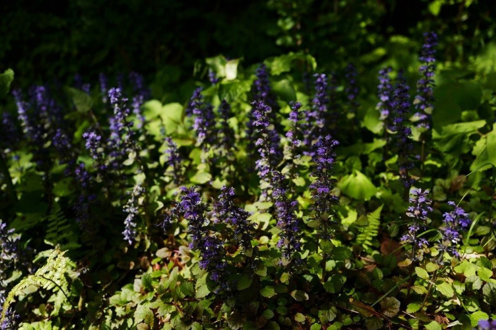 f0365212_19324023.jpg
