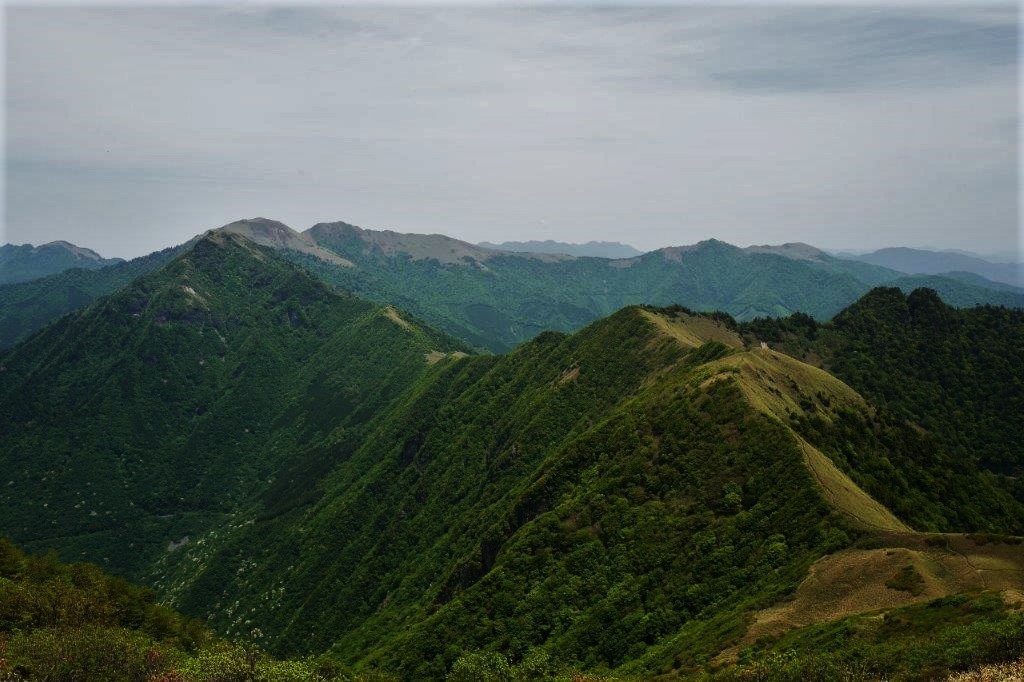 f0365212_21480056.jpg