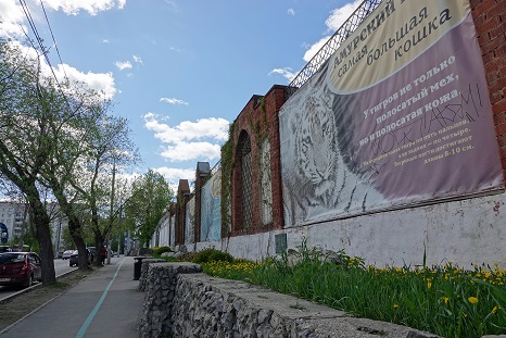 a0151913_1104719.jpg