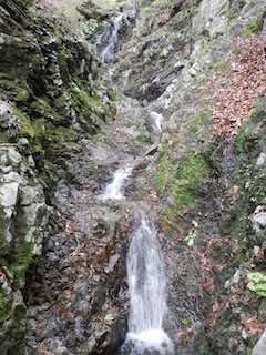 c0359615_21065523.jpg