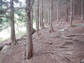 c0359615_21072933.jpg