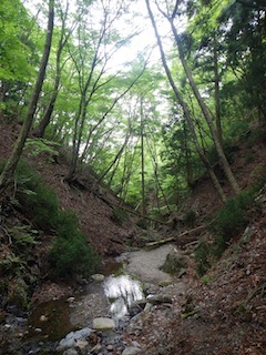 c0359615_21073769.jpg