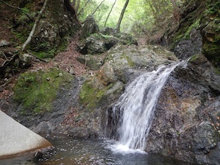 c0359615_21074361.jpg
