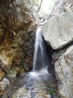 c0359615_21080548.jpg