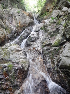 c0359615_21081302.jpg