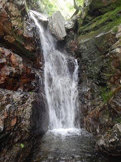 c0359615_21082187.jpg