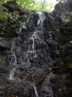 c0359615_21084857.jpg