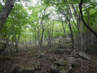 c0359615_21091312.jpg