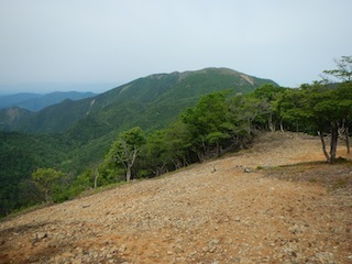 c0359615_21092012.jpg