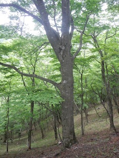 c0359615_21094106.jpg