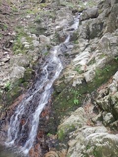 c0359615_21100237.jpg