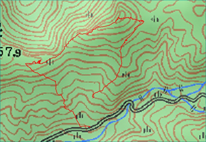 f0193521_20442840.jpg