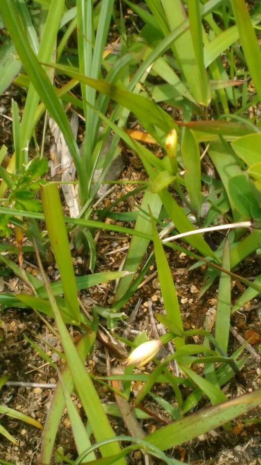 f0193521_2218277.jpg