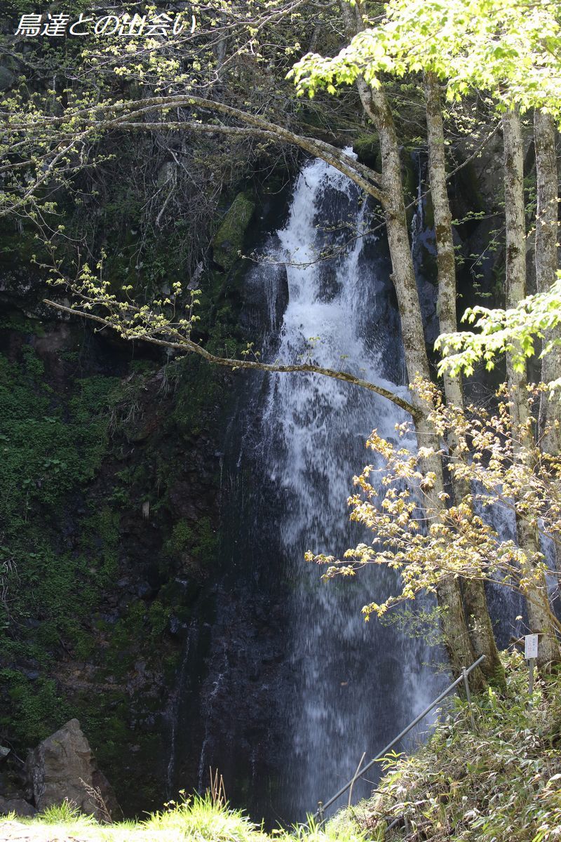 e0139623_22331200.jpg