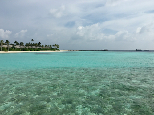 e0387424_10534808.jpg
