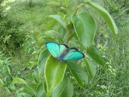 c0353632_16500233.jpg