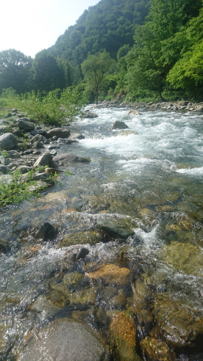 c0133133_16521448.jpg