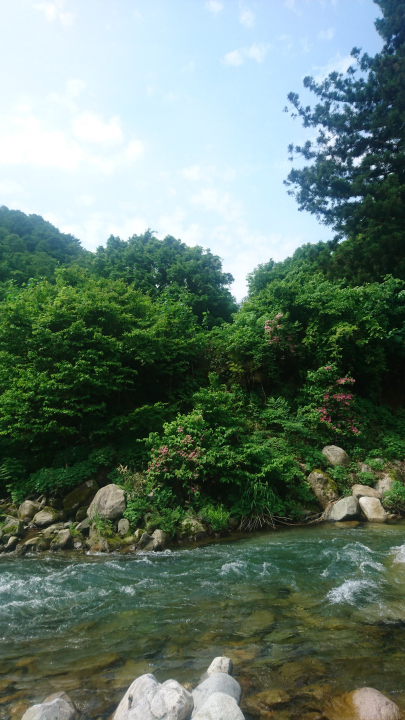 c0133133_17115098.jpg